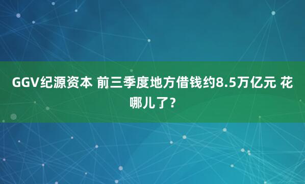 GGV纪源资本 前三季度地方借钱约8.5万亿元 花哪儿了？