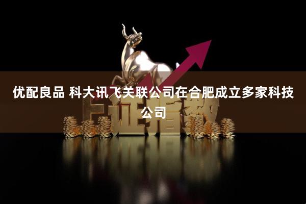 优配良品 科大讯飞关联公司在合肥成立多家科技公司