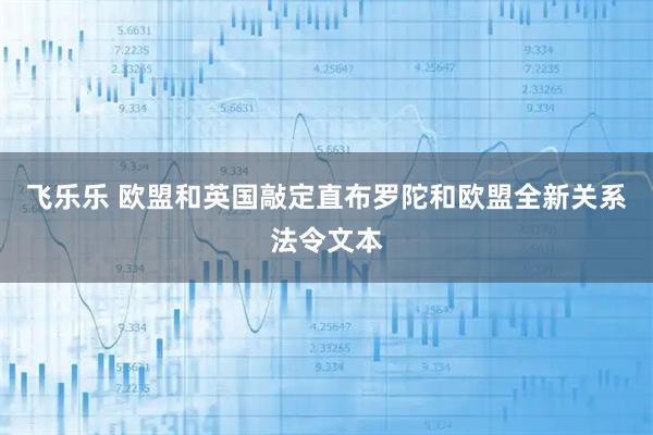 飞乐乐 欧盟和英国敲定直布罗陀和欧盟全新关系法令文本