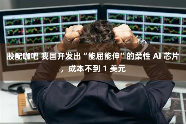 股配咖吧 我国开发出“能屈能伸”的柔性 AI 芯片，成本不到 1 美元